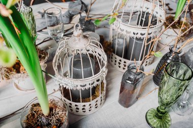 Evde fidelerin filizlenmesi. Canlı bitkiler ve dallarla gizemli bir bahar tarzında masa hazırlamak. Mum şeklinde gri, kalın mumlar, kuş kafesi şeklinde..