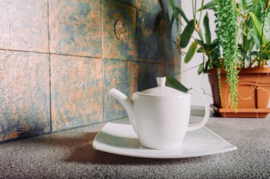 Mutfakta sert beton malzemelerden yapılmış beyaz porselen çaydanlık ve arka planda bir ev bitkisi var..