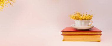 Güzel bir bahar minimalist hayat afişi, beyaz bir porselen fincanda bir buket Mimosa yumuşak pembe arka planda iki eski kitapla klasik sarı sayfalı sert kırmızı bir kapak.