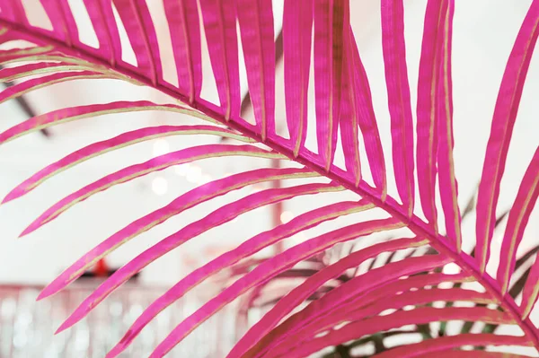 Riesiger Rosafarbener Zweig Einer Pflanze Gegen Eine Silberne Wand — Stockfoto