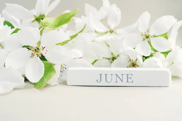 Nápis Červen Měsíc Dřevěné Figurce Kalendáře Květu Bílých Svěžích Květů — Stock fotografie