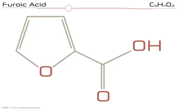 Велика Деталізована Інфографіка Молекули Фуроїдної Кислоти — стоковий вектор