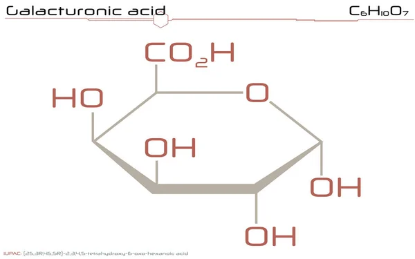 Infografica Ampia Dettagliata Della Molecola Dell Acido Galatturonico — Vettoriale Stock