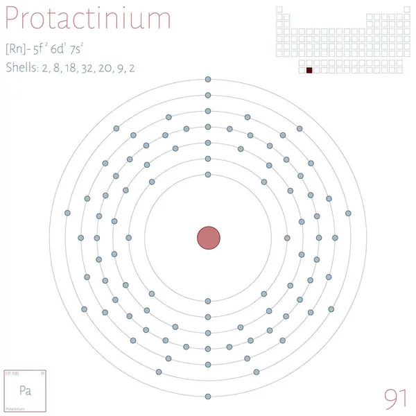 Grote Kleurrijke Infographic Het Element Van Protactinium — Stockvector