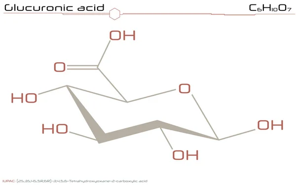 Infografía Grande Detallada Molécula Ácido Glucurónico — Vector de stock