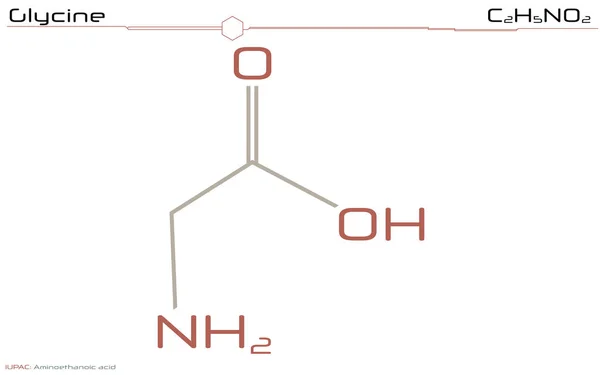 stock vector Large and detailed infographic of the molecule of Glycine