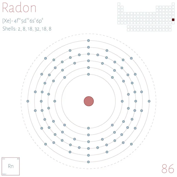 Grote Kleurrijke Infographic Het Element Van Radon — Stockvector