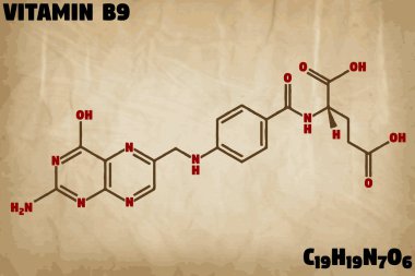 Vitamin B9 molekülünün detaylı Infographic çizimi.