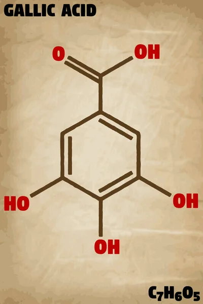 Illustrazione Infografica Dettagliata Della Molecola Dell Acido Gallico — Vettoriale Stock