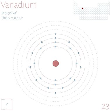 Büyük ve renkli Infographic Vanadyum unsuru üzerinde.