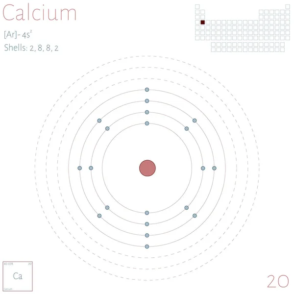 Grote Kleurrijke Infographic Het Element Calcium — Stockvector