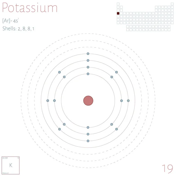 Grote Kleurrijke Infographic Het Element Kalium — Stockvector