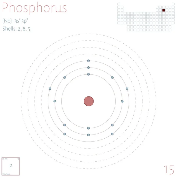 Grote Kleurrijke Infographic Het Element Fosfor — Stockvector