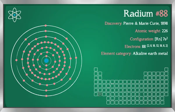 stock vector Detailed infographic of the element of Radium.