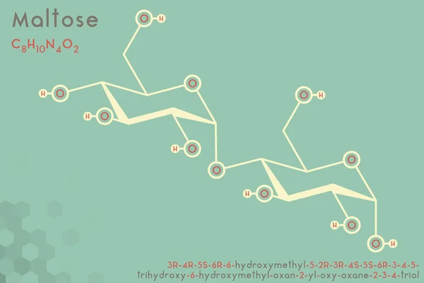 Grote Gedetailleerde Infographic Van Het Molecuul Van Maltose — Stockvector