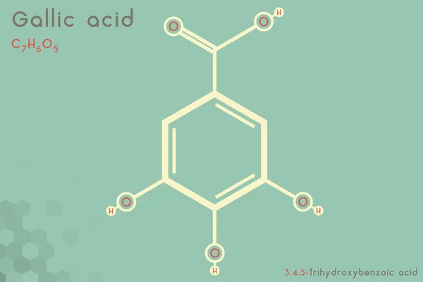 Infografica Ampia Dettagliata Della Molecola Dell Acido Gallico — Vettoriale Stock