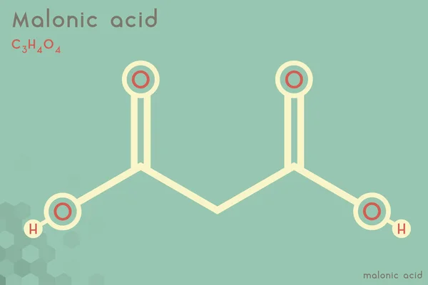 Infografica Ampia Dettagliata Della Molecola Acido Malonico — Vettoriale Stock