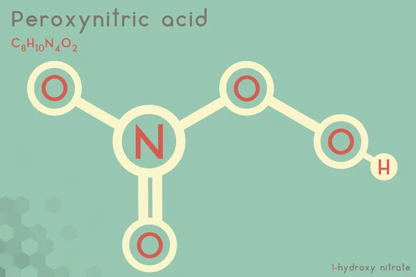 Infografica Ampia Dettagliata Della Molecola Dell Acido Perossinitrico — Vettoriale Stock