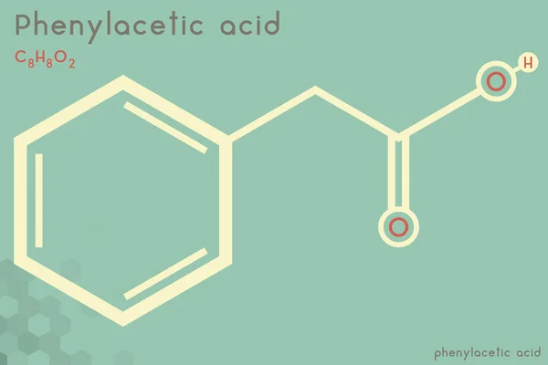 Infografica Ampia Dettagliata Della Molecola Dell Acido Fenilacetico — Vettoriale Stock
