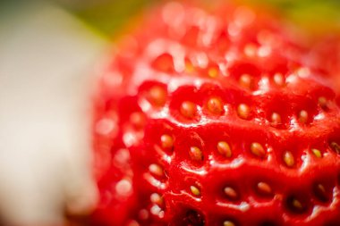 Kırmızı çileğin makro fotoğrafçılığı. Çilek tohumları yakın çekim.