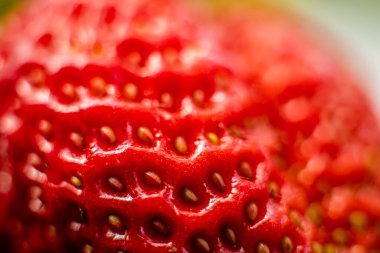 Kırmızı çileğin makro fotoğrafçılığı. Çilek tohumları yakın çekim.