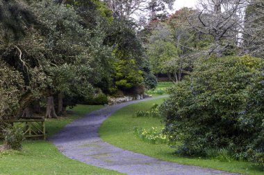 Bahar Parkı, Newcastle, Kuzey İrlanda sokakta genel görünümü