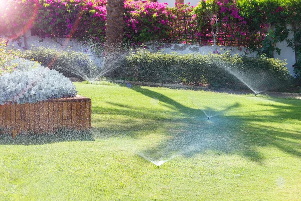 Sprinkler Garden Watering Lawn Automatic Watering Lawns — Stock Photo, Image