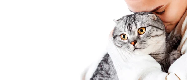 Mooie Jongedame Met Pluizige Kat Thuis Banner Geïsoleerd — Stockfoto