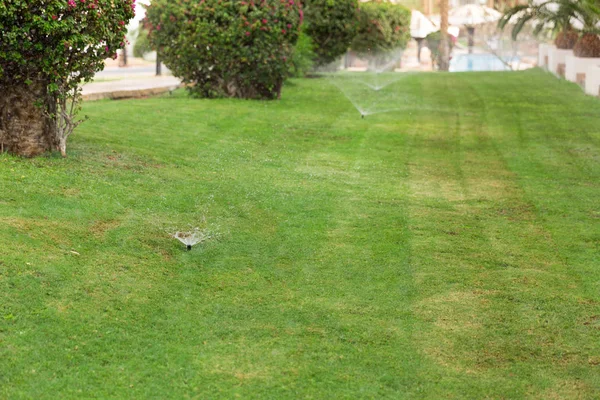 Aspersor no jardim regando o gramado. Conceito de gramados de rega automática — Fotografia de Stock