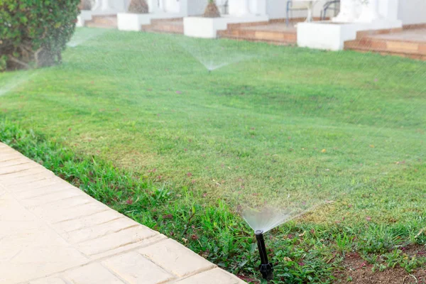 Aspersor en el jardín que riega el césped. Concepto de césped de riego automático —  Fotos de Stock