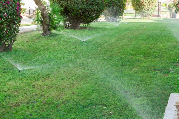 Aspersor en el jardín que riega el césped. Concepto de césped de riego automático —  Fotos de Stock