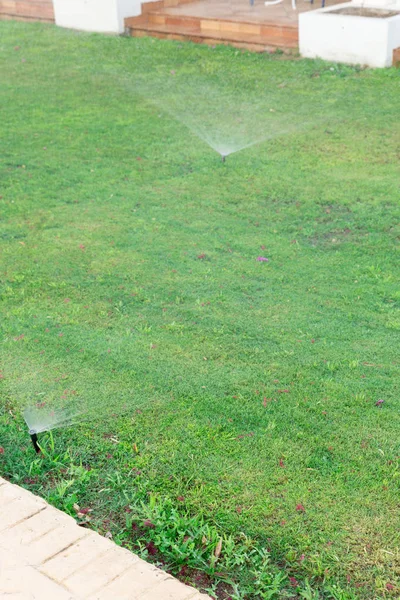 Aspersor en el jardín que riega el césped. Concepto de césped de riego automático —  Fotos de Stock