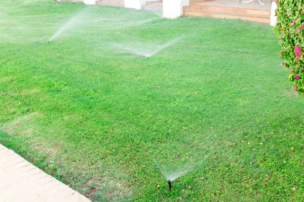 Penyiram di kebun menyirami halaman. Konsep menyiram rumput otomatis — Stok Foto