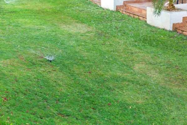 Aspersor no jardim regando o gramado. Conceito de gramados de rega automática — Fotografia de Stock