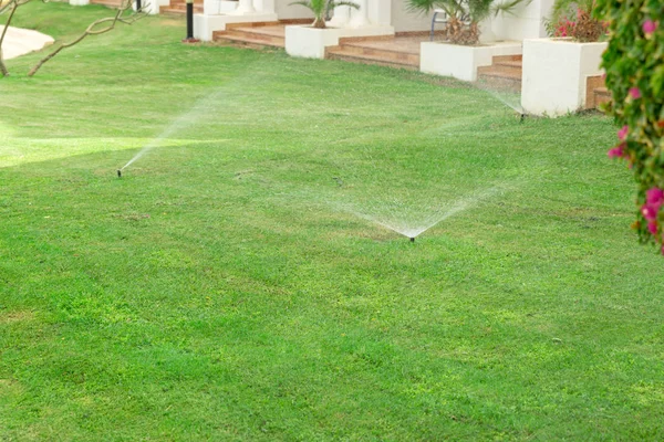 Beregner im Garten, der den Rasen bewässert. Automatisches Rasenbewässerungskonzept — Stockfoto