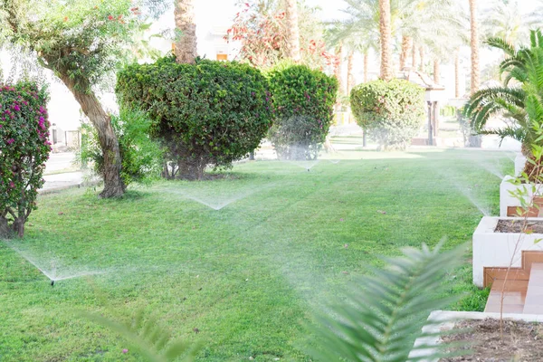 Beregner im Garten, der den Rasen bewässert. Automatisches Rasenbewässerungskonzept — Stockfoto