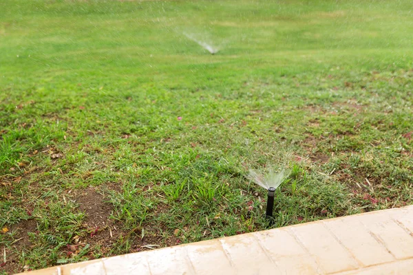 Bahçede yağmurlama Çim Sulama. Otomatik sulama çimenler kavramı — Stok fotoğraf