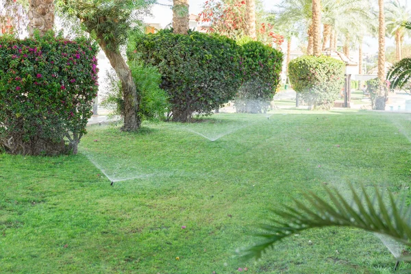 Aspersor en el jardín que riega el césped. Concepto de césped de riego automático —  Fotos de Stock