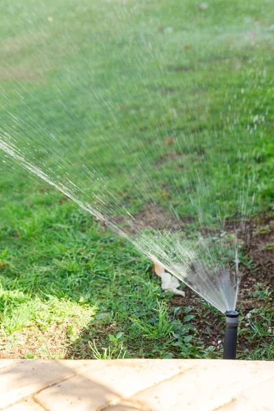 Sprinkler in garden watering the lawn. Automatic watering lawns concept — Stock Photo, Image