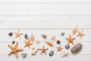 Beyaz ahşap masa üzerinde çeşitli deniz kabuğu ve denizyıldızı Düz yatıyordu, üst görünümü. Kopya alanı arka plan, yaz konsepti