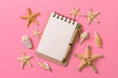 yaz tatili pembe arka plan için deniz kabuğu ile boş dizüstü bilgisayar , Üst görünüm Düz lay kavramı