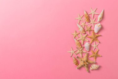 Deniz kabukları kopyalama alanı ile deniz renkli arka plan. seyahatten tebrik kartı veya kartpostal