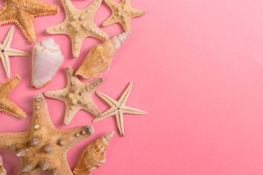 Bir sürü deniz kabuğu ve pembe arka planda bir sürü deniz yıldızı.