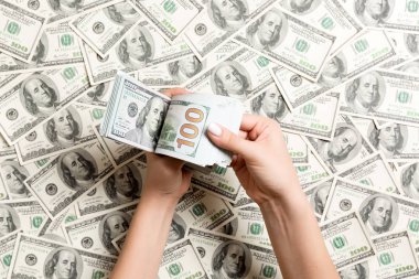 Kadın ellerinin dolar üzerinden para saydığı en iyi manzara. Borç konsepti. Yatırım kavramı