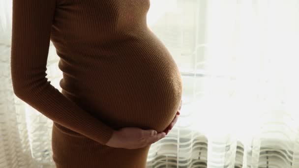 Close Mulher Grávida Acariciando Seu Estômago — Vídeo de Stock