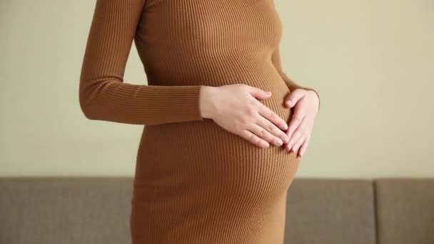 お腹を撫でている妊婦さんのクローズアップ — ストック動画