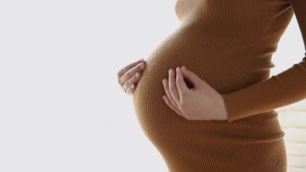 Close Pregnant Woman Standing Stroking Her Stomach — Stock Video