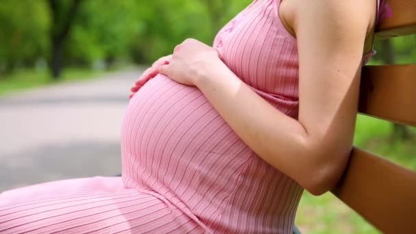 Femme Enceinte Caressant Ventre Dans Parc Verdoyant Joyeux Enceinte Fille — Video