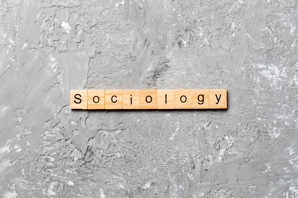 Soziologie Wort Auf Holzblock Geschrieben Soziologie Text Auf Zementtisch Für — Stockfoto