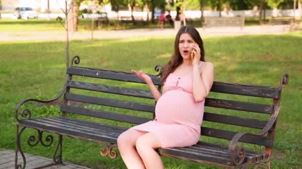 Wütende Schwangere Sitzt Auf Einer Bank Einem Sommerlichen Stadtpark Und — Stockvideo